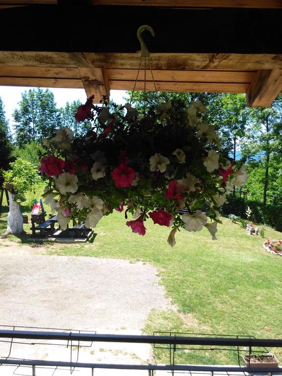 Guest house Antonela Smoljanac Chambre photo