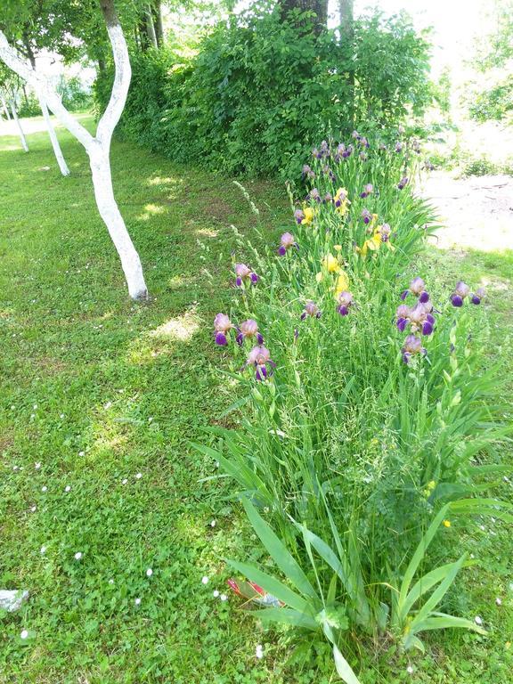 Guest house Antonela Smoljanac Chambre photo